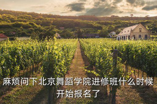 麻烦问下北京舞蹈学院进修班什么时候开始报名了