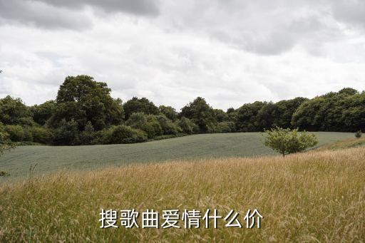 搜歌曲爱情什么价
