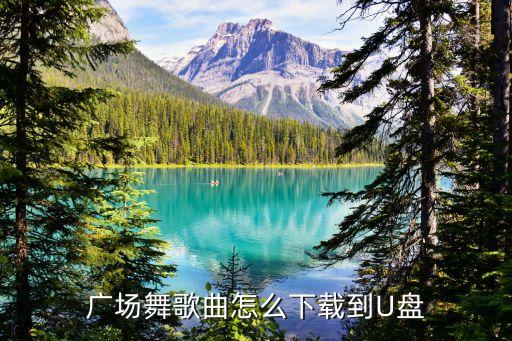 红尘蝶恋广场舞怎么下载，请问广场舞视频怎么下载到u盘