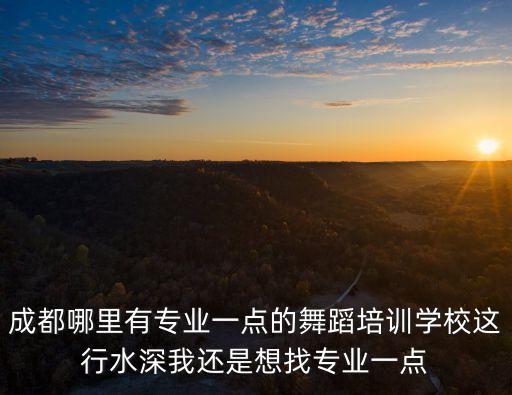 成都哪里有专业一点的舞蹈培训学校这行水深我还是想找专业一点