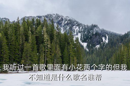 我听过一首歌里面有小花两个字的但我不知道是什么歌名谁帮