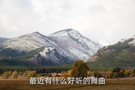 广场舞花王舞曲有哪些，找几首非主流舞曲