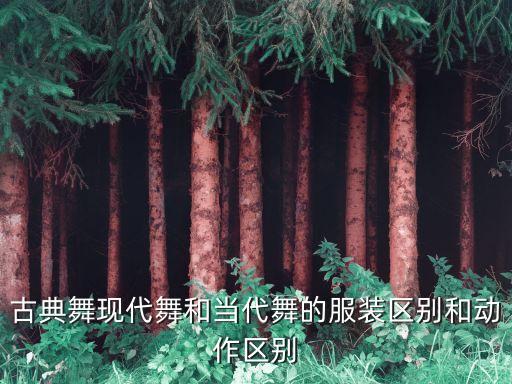古典舞服装女演出服图片，古典舞现代舞和当代舞的服装区别和动作区别