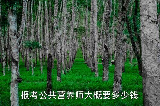 报考公共营养师大概要多少钱