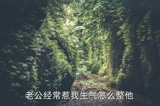 老公经常惹我生气怎么整他