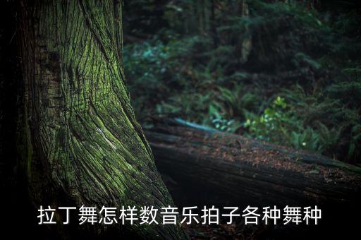 拉丁舞怎样数音乐拍子各种舞种