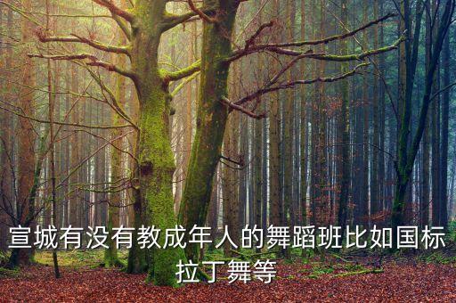 宣城有没有教成年人的舞蹈班比如国标拉丁舞等