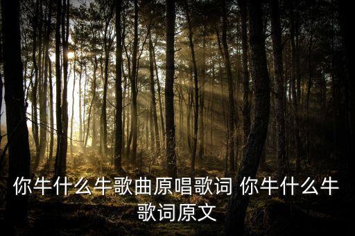 你牛什么牛歌曲原唱歌词 你牛什么牛歌词原文