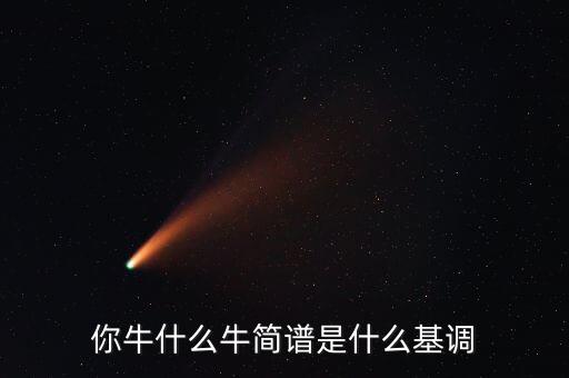 你牛什么牛简谱是什么基调