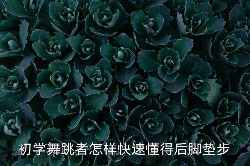 初学舞跳者怎样快速懂得后脚垫步