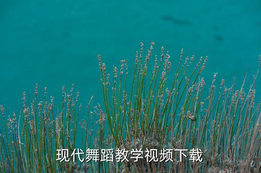 现代舞加什么舞蹈视频教学视频下载，急求一些好看的现代舞视频最好有舞蹈教程动作不要太难谢谢