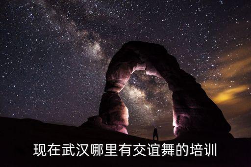 武汉哪里有学跳交谊舞，武汉光谷这边有没有教成人交谊舞或者国标舞的地方呢最好是靠近