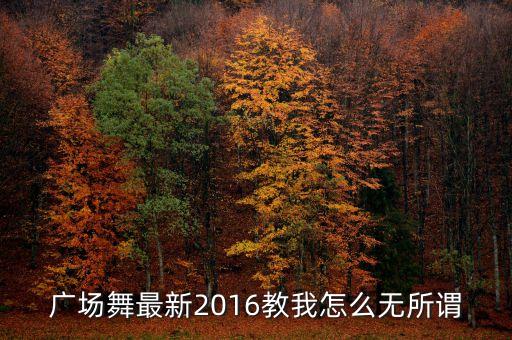 怎么能叫我无所谓舞蹈，初音未来甩葱歌的中文歌词