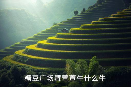 糖豆广场舞你牛什么牛兴梅，广场舞你牛甚么牛mp3