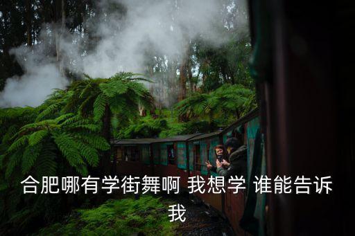 合肥哪有学街舞啊 我想学 谁能告诉我