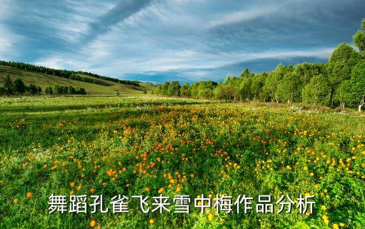 舞蹈孔雀飞来雪中梅作品分析