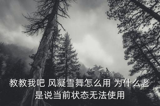 教教我吧 风凝雪舞怎么用 为什么老是说当前状态无法使用