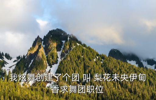 网红最红的广场舞，我炫舞创建了个团 叫 梨花未央伊甸香求舞团职位