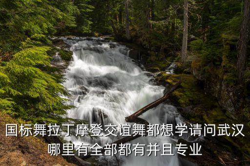 国标舞拉丁摩登交谊舞都想学请问武汉哪里有全部都有并且专业