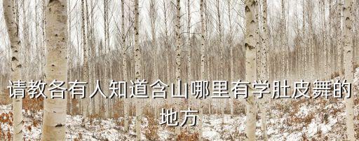请教各有人知道含山哪里有学肚皮舞的地方