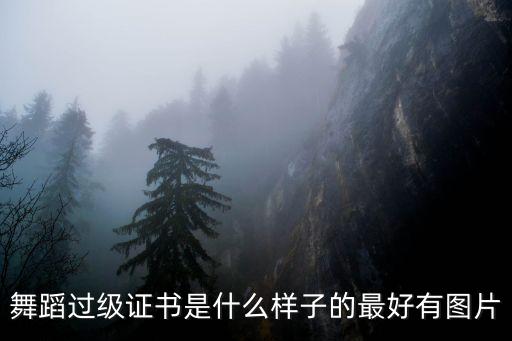 舞蹈过级证书是什么样子的最好有图片