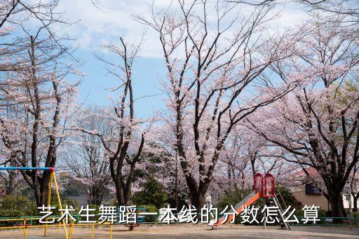 艺术生舞蹈一本线的分数怎么算