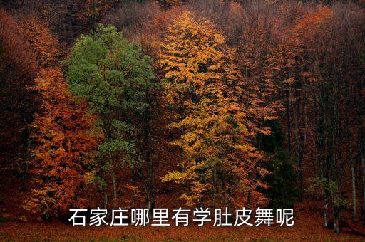 石家庄曼丽舞院怎么样，石家庄哪里有学肚皮舞呢