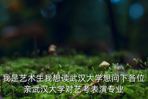 我是艺术生我想读武汉大学想问下各位亲武汉大学对艺考表演专业