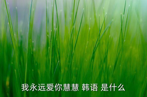 我永远爱你慧慧 韩语 是什么