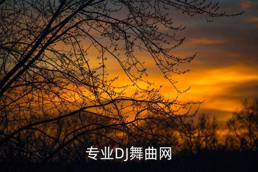 专业DJ舞曲网