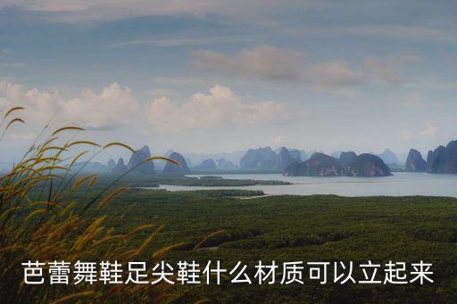 为什么芭蕾舞鞋可以站起来，芭蕾舞鞋足尖鞋什么材质可以立起来
