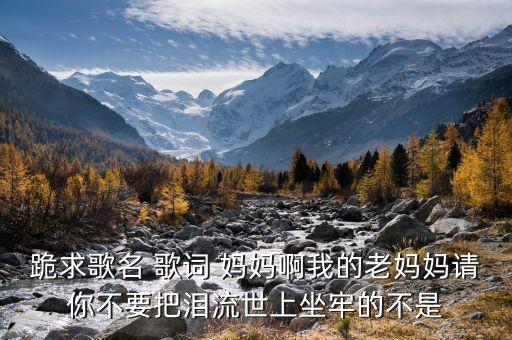 跪求歌名 歌词 妈妈啊我的老妈妈请你不要把泪流世上坐牢的不是
