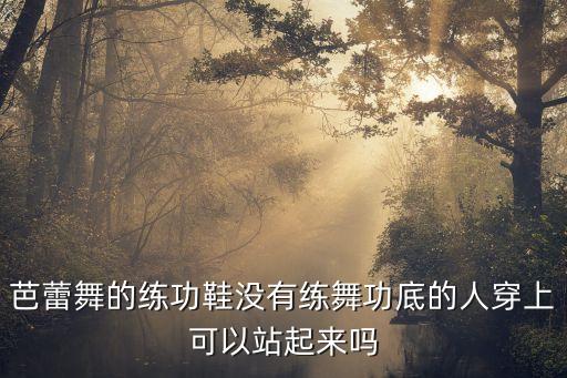 芭蕾舞的练功鞋没有练舞功底的人穿上可以站起来吗