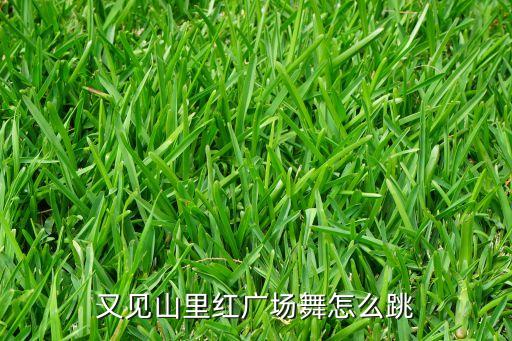 又见山里红广场舞完整版，盐山吧大南友谊广场舞又见山里红阳光幼儿园