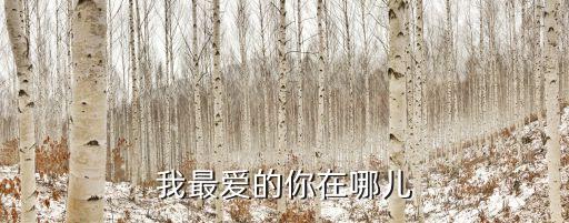 我最爱的你在哪里广场舞mp4，我最爱的你在哪儿