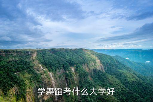 学舞蹈可以报考什么样的大学，舞蹈专业考什么学校