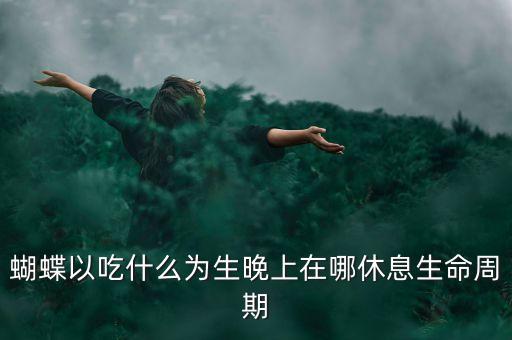 春天蝴蝶喜欢干什么，春天来了小蝴蝶忙着干什么