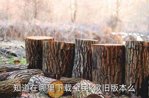 知道在哪里下载全民k歌旧版本么