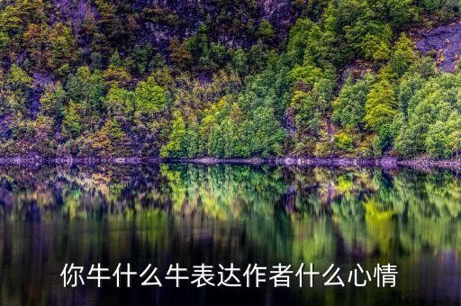 你牛什么牛表达作者什么心情