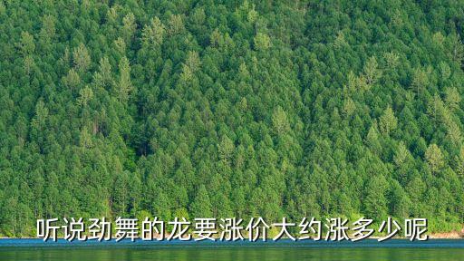 广场上舞的绸龙多少钱，请问劲舞里面买龙要多少钱