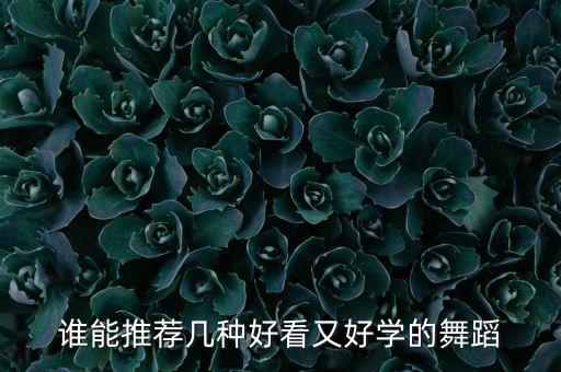 谁能推荐几种好看又好学的舞蹈