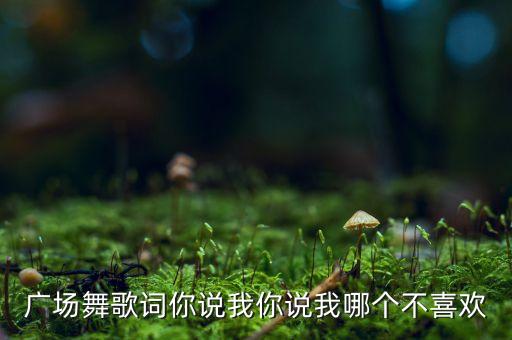 广场舞蹈歌曲大全歌词，适合跳广场舞的歌