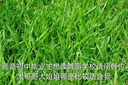 我是初中毕业生想读舞蹈学校请问各位大哥哥大姐姐哪里比较适合我
