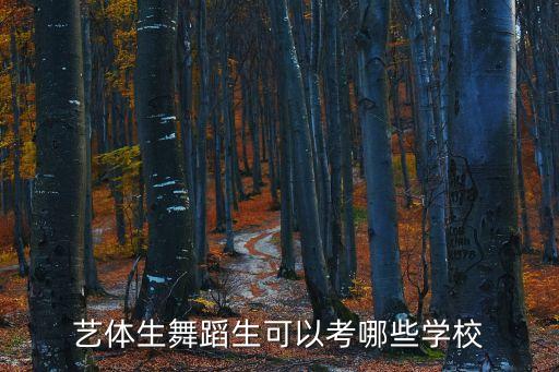 艺体生舞蹈生可以考哪些学校