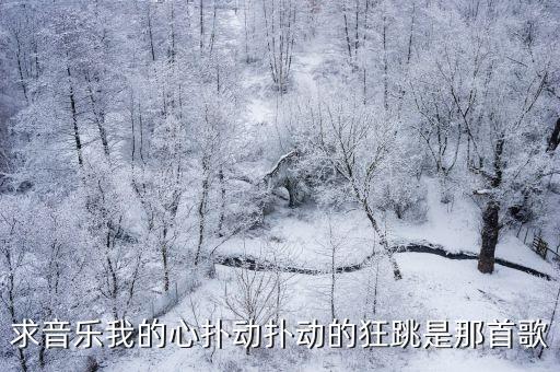 求音乐我的心扑动扑动的狂跳是那首歌