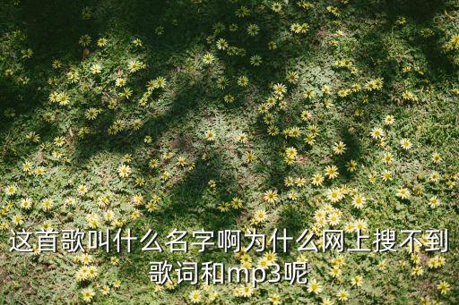 这首歌叫什么名字啊为什么网上搜不到歌词和mp3呢