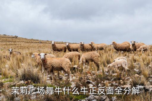 牛什么牛的歌舞，深港DJ里有一首加快的串烧叫你牛什么牛是哪首歌