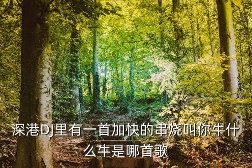 深港DJ里有一首加快的串烧叫你牛什么牛是哪首歌