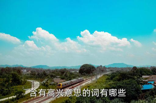 有哪些不高兴的舞，关于舞的成语有哪些