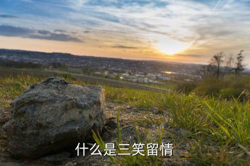 什么是三笑留情